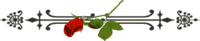 GSM_fulli.gif