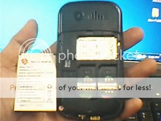 cherryQ92-1.jpg