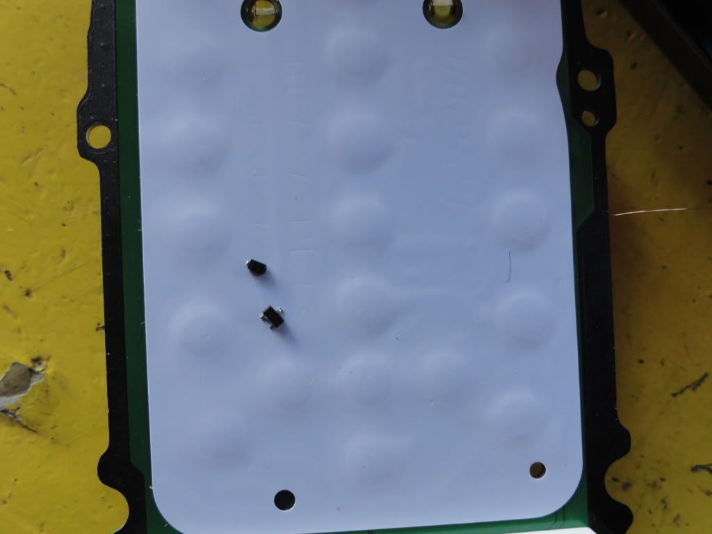 DSC06093.jpg