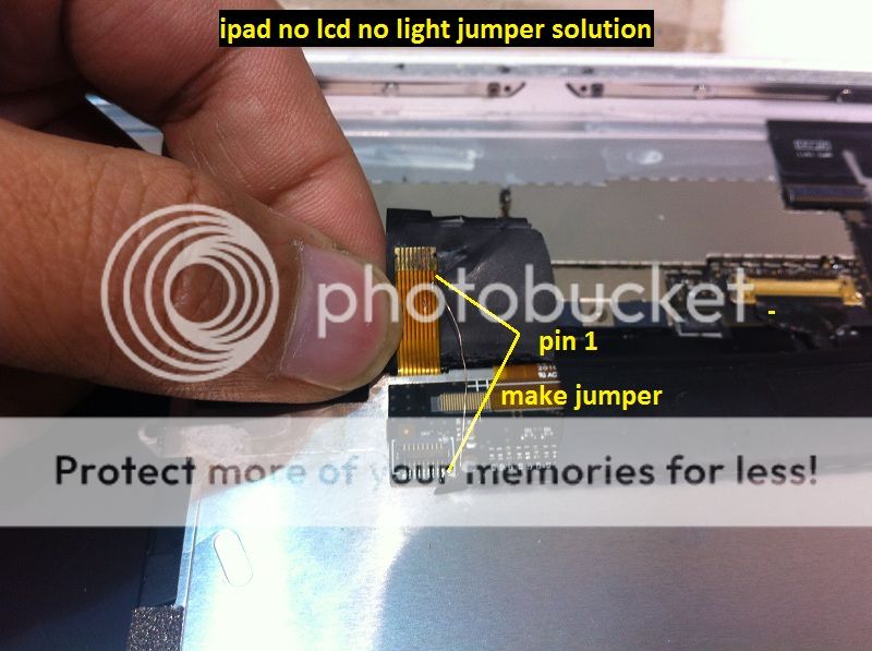 101APPLE_IMG_1764.jpg